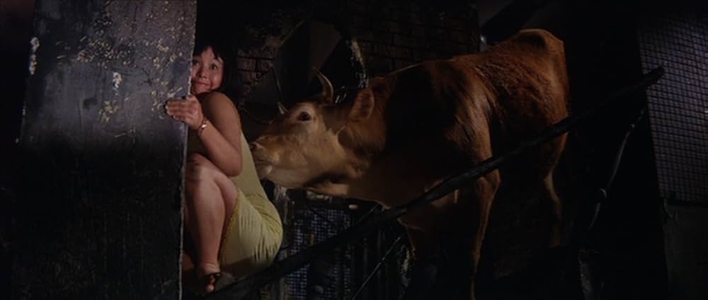 肉体の門の画像