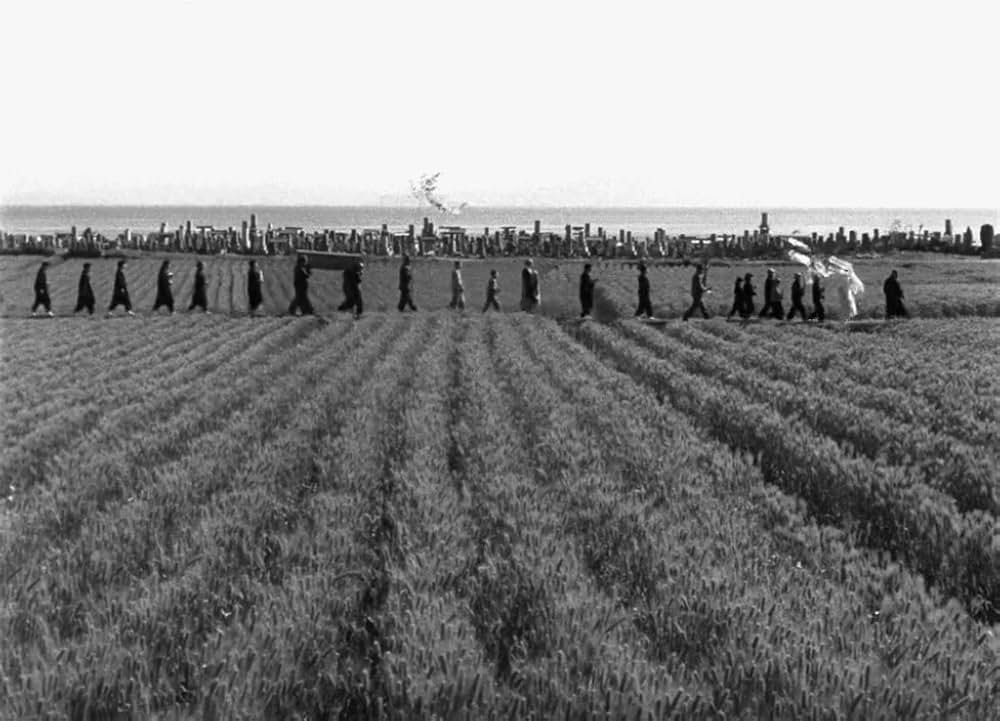 「二十四の瞳」の画像