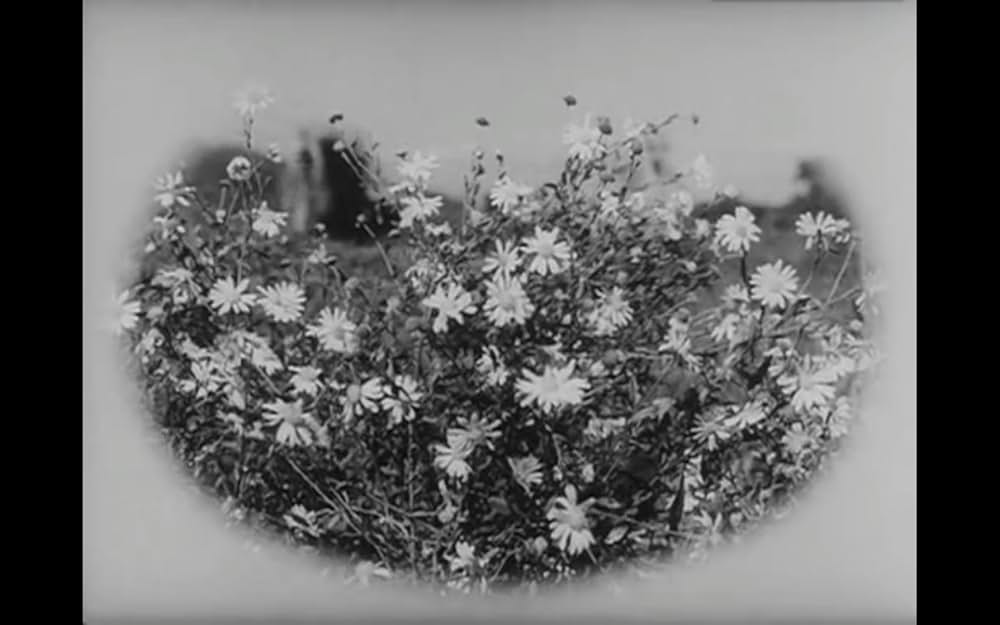 野菊の如き君なりきの画像