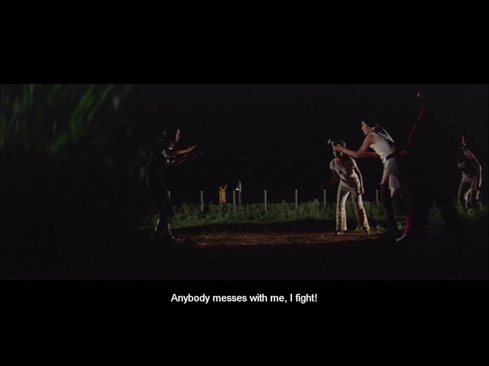 野良猫ロック セックス・ハンターの画像