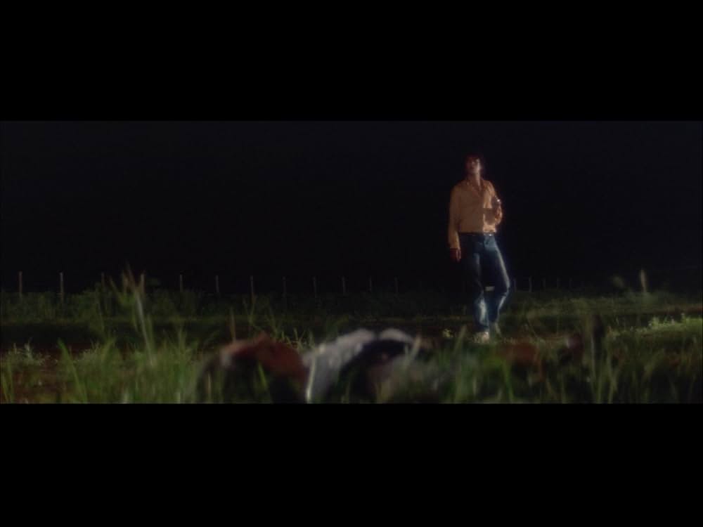 野良猫ロック セックス・ハンターの画像