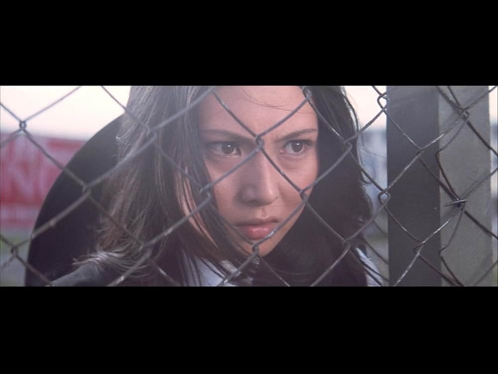 野良猫ロック セックス・ハンターの画像