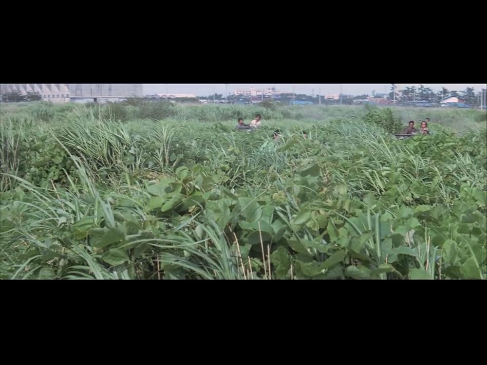 野良猫ロック セックス・ハンターの画像