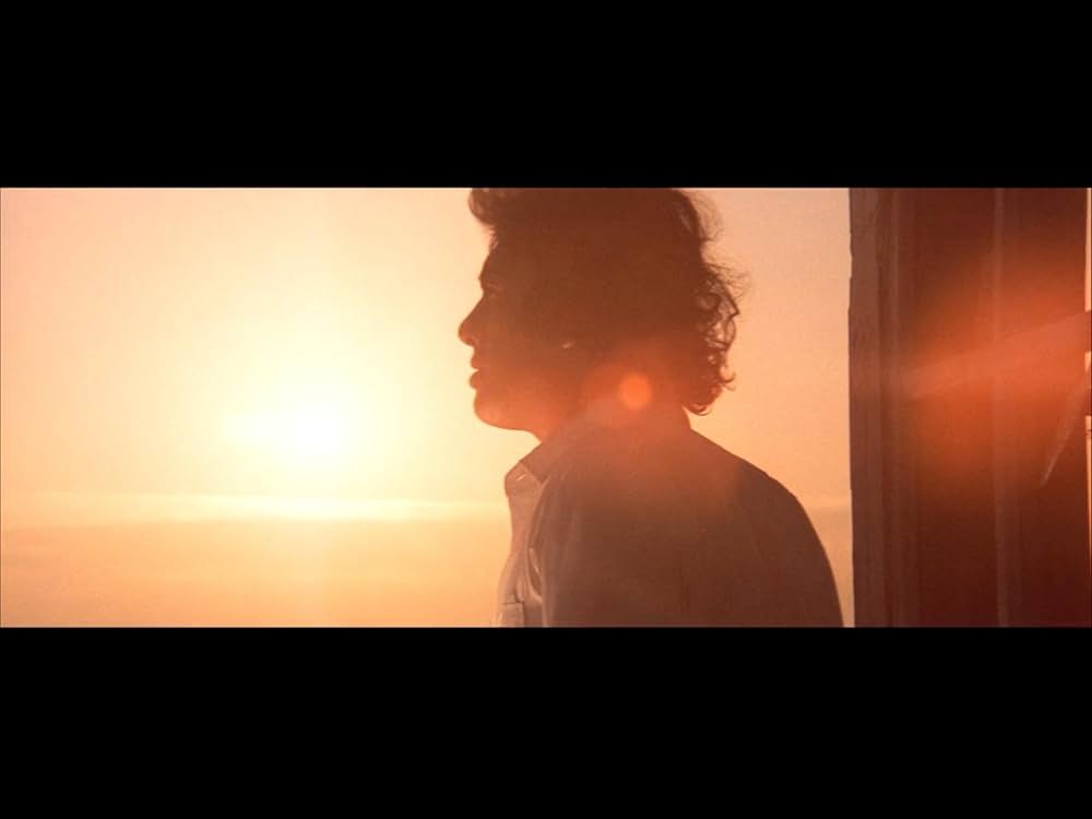 野良猫ロック セックス・ハンターの画像