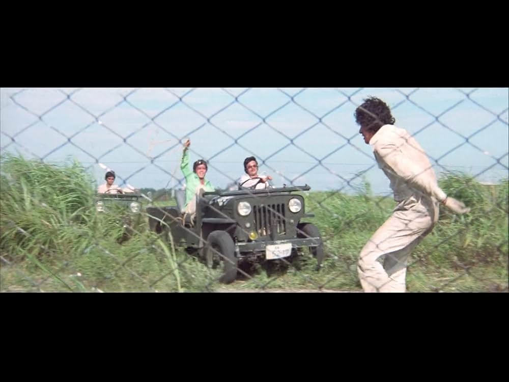 野良猫ロック セックス・ハンターの画像