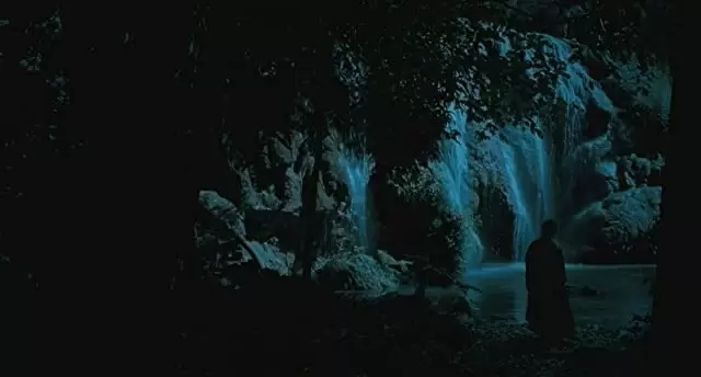 ブンミおじさんの森の画像