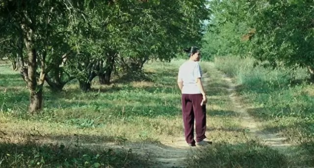 ブンミおじさんの森の画像