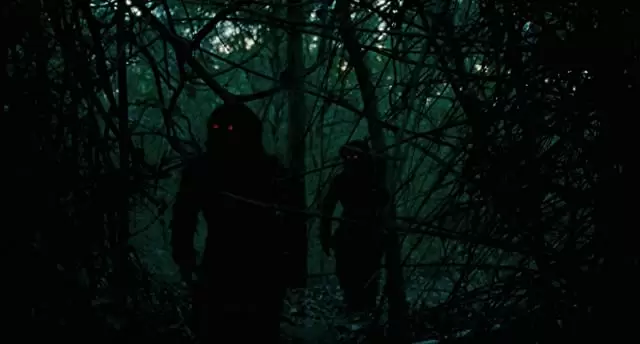 ブンミおじさんの森の画像