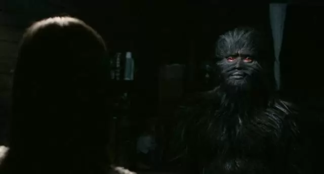 ブンミおじさんの森の画像