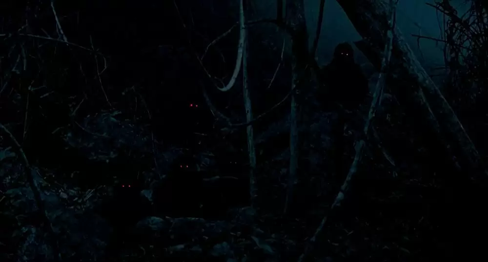 ブンミおじさんの森の画像