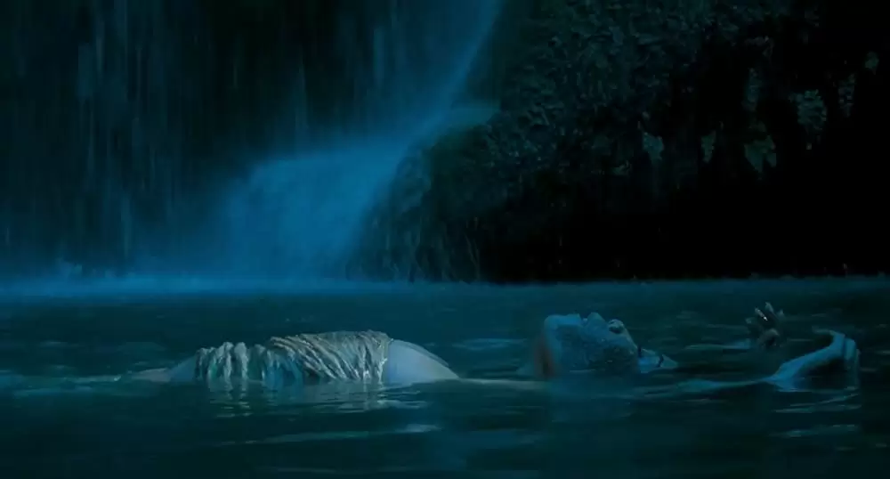 ブンミおじさんの森の画像