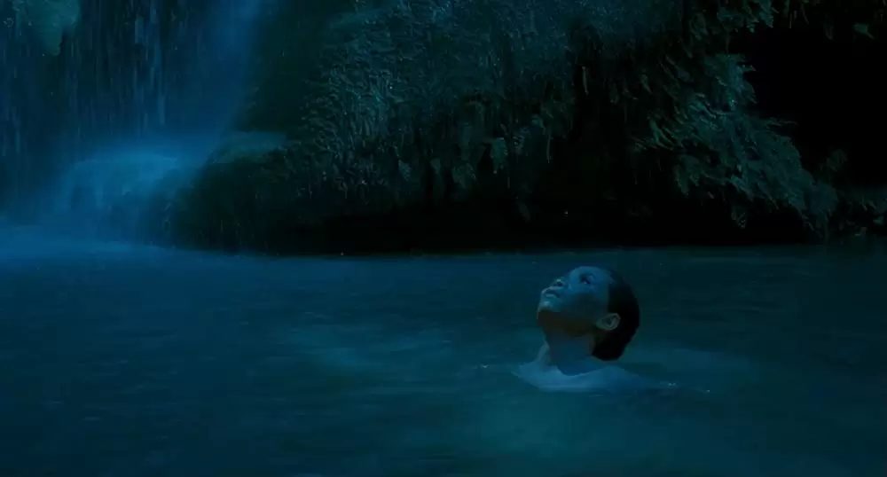 ブンミおじさんの森の画像