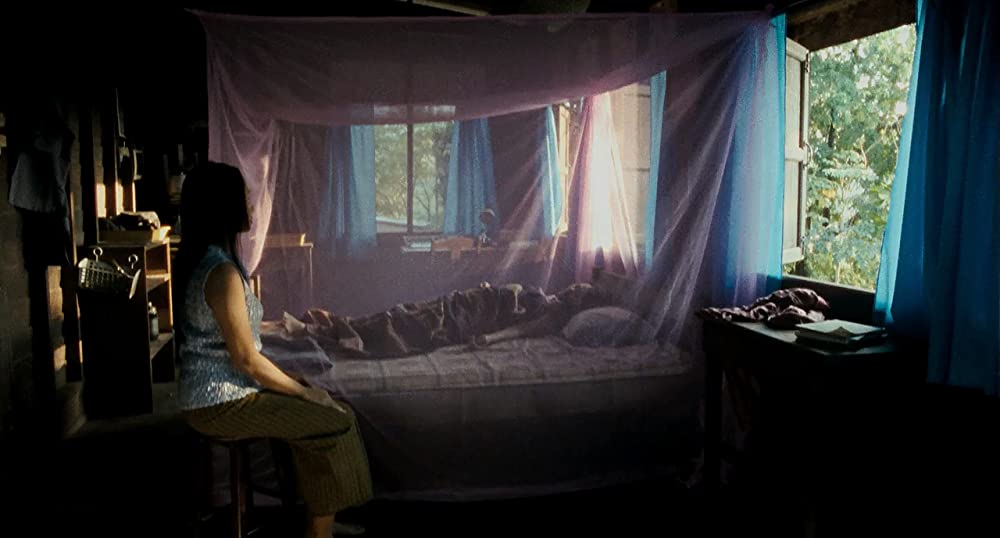 ブンミおじさんの森の画像