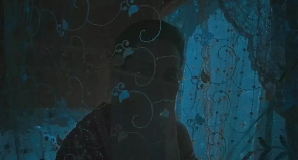 ブンミおじさんの森の画像