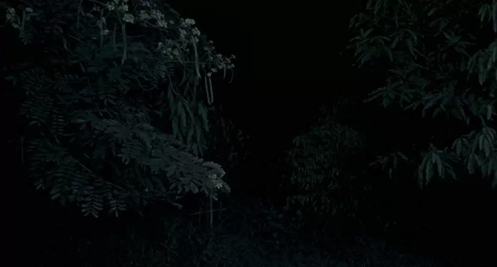 ブンミおじさんの森の画像