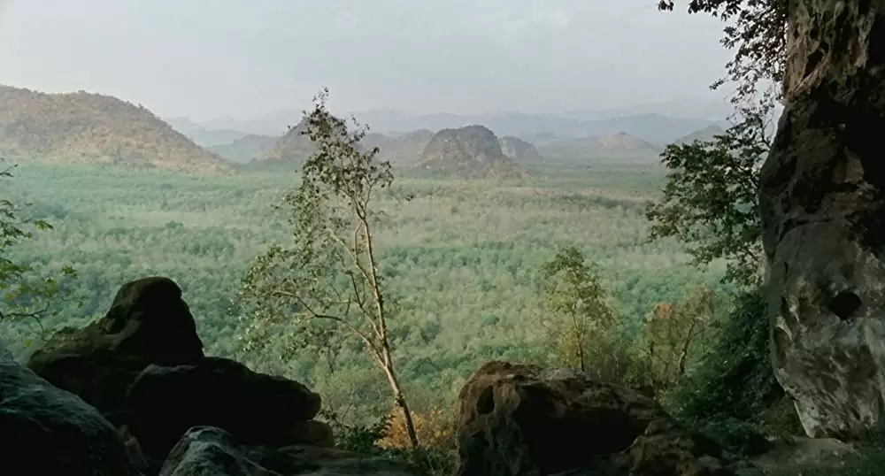 ブンミおじさんの森の画像