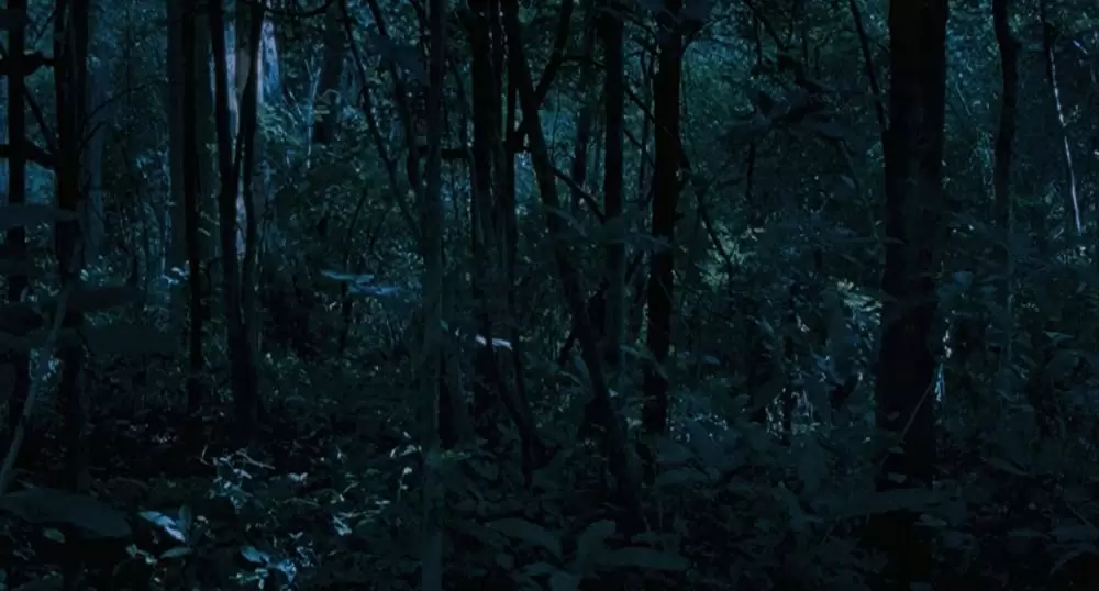 ブンミおじさんの森の画像