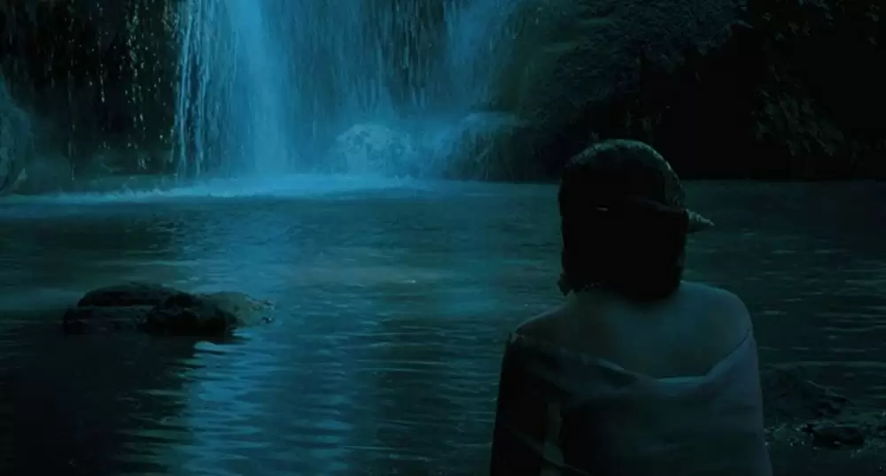 ブンミおじさんの森の画像