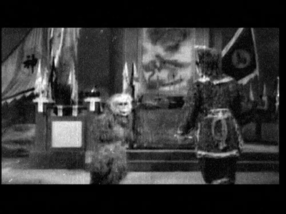 DEAD OR ALIVE FINALの画像