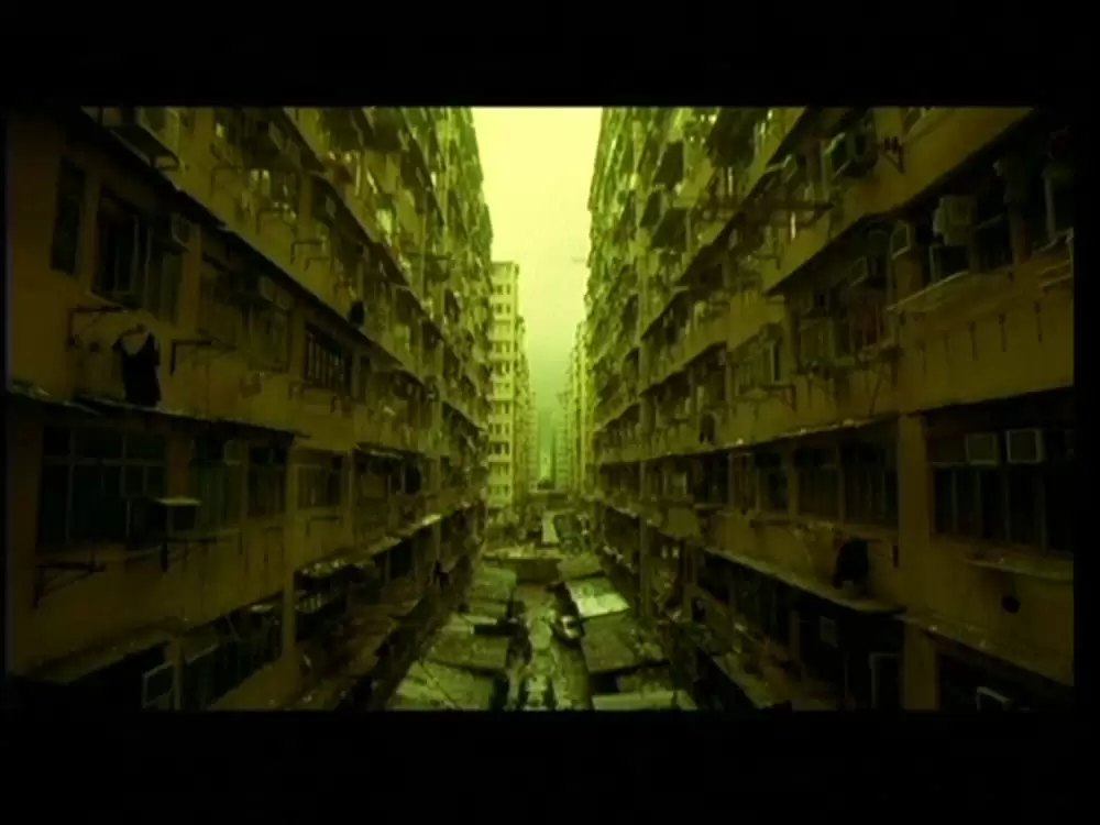 DEAD OR ALIVE FINALの画像