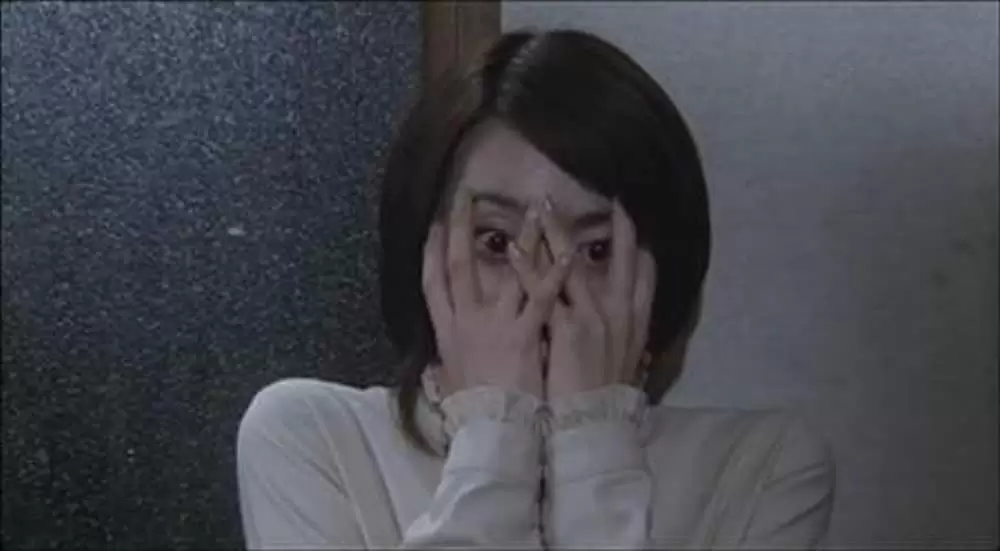 「呪怨」奥菜恵の画像