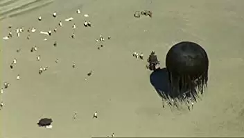 みんな元気の画像