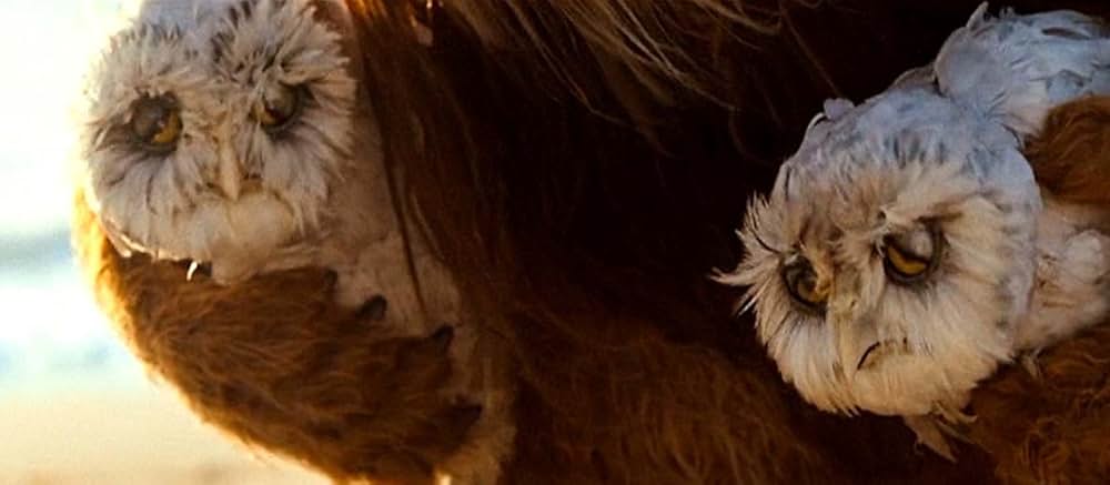 かいじゅうたちのいるところの画像