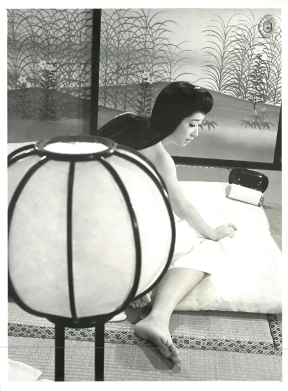 徳川女系図の画像