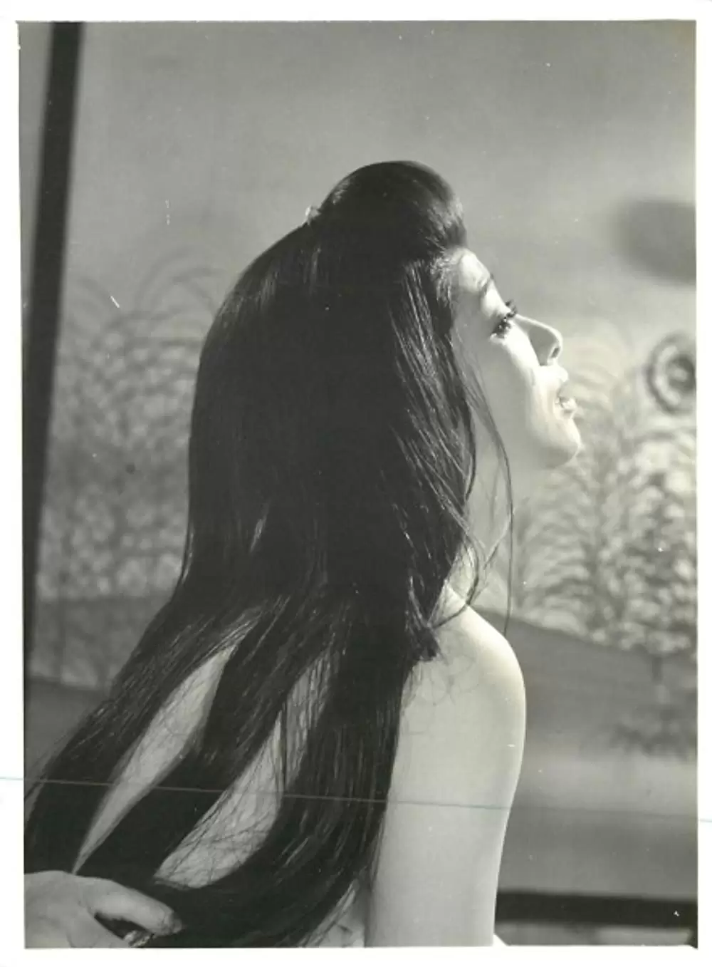 徳川女系図の画像