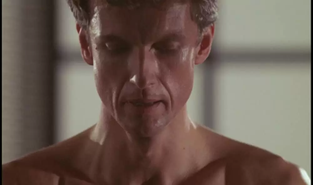 「愛の化身」Mathieu Carrièreの画像