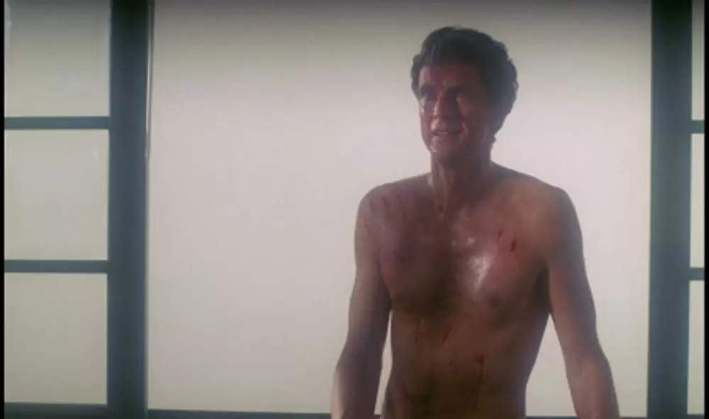 「愛の化身」Mathieu Carrièreの画像