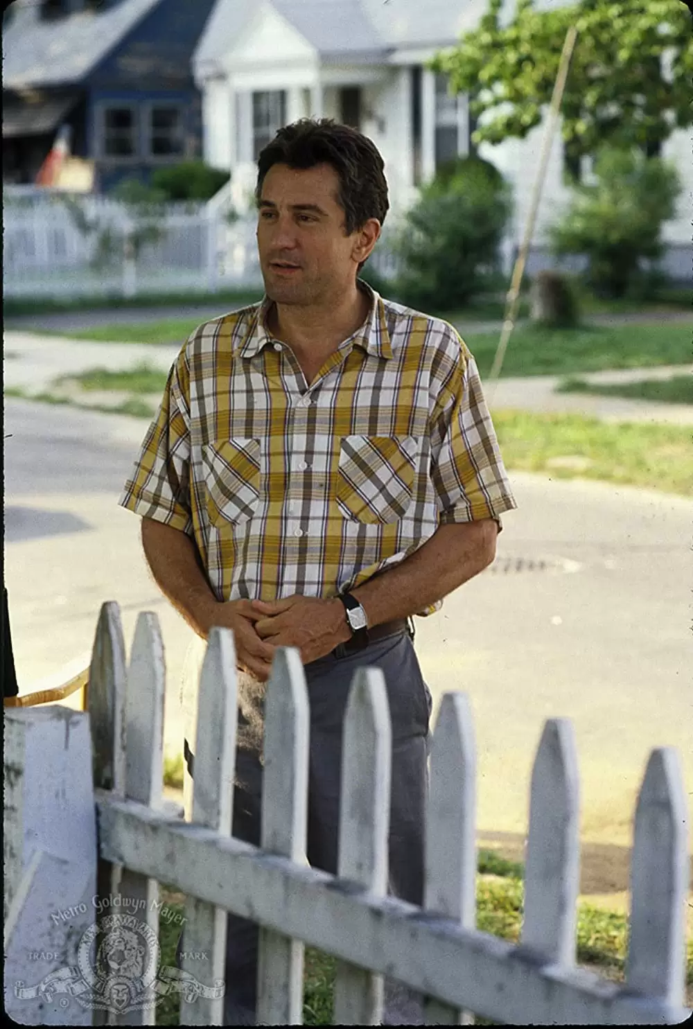 アイリスへの手紙の画像