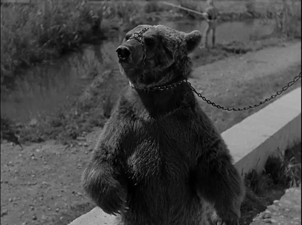 悪魔が夜来るの画像