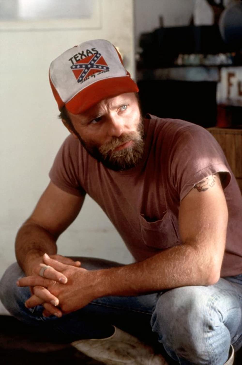 アラモベイの画像