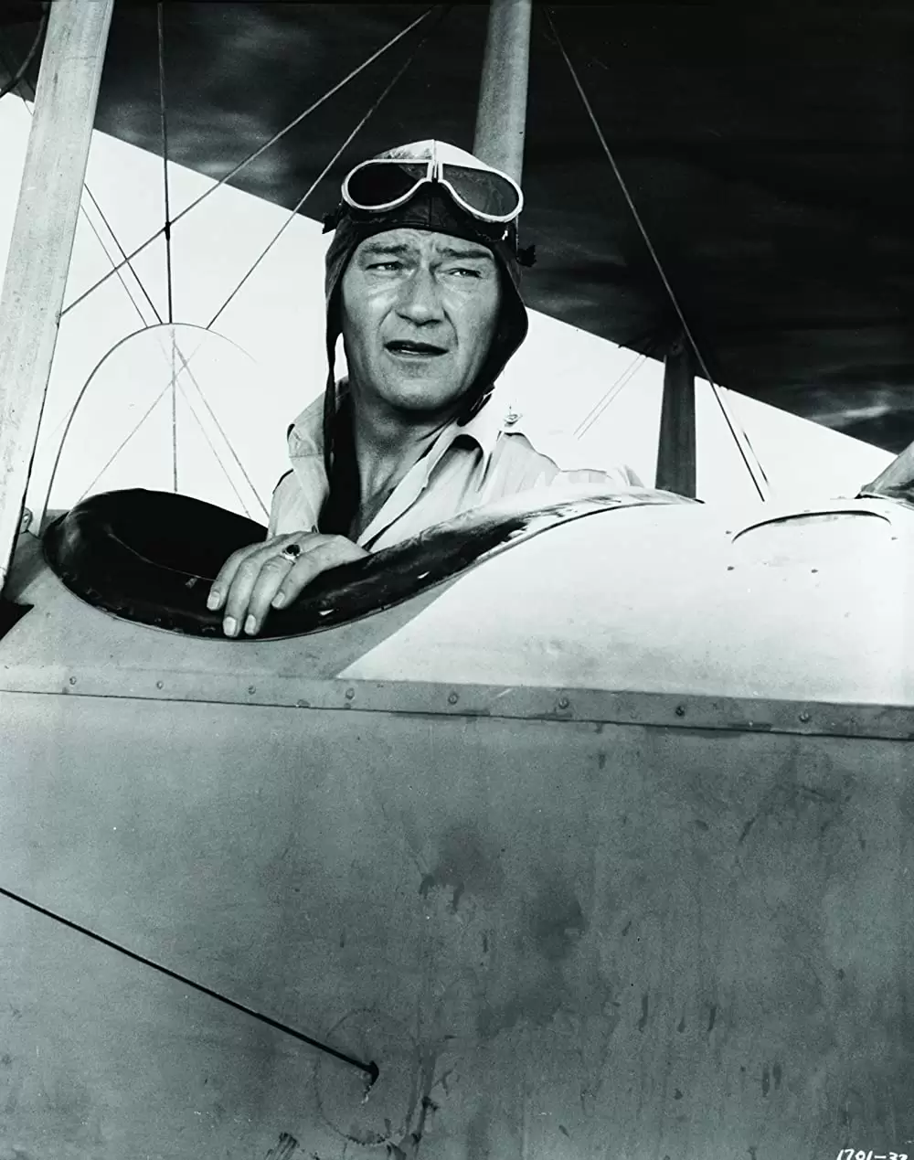 荒鷲の翼の画像