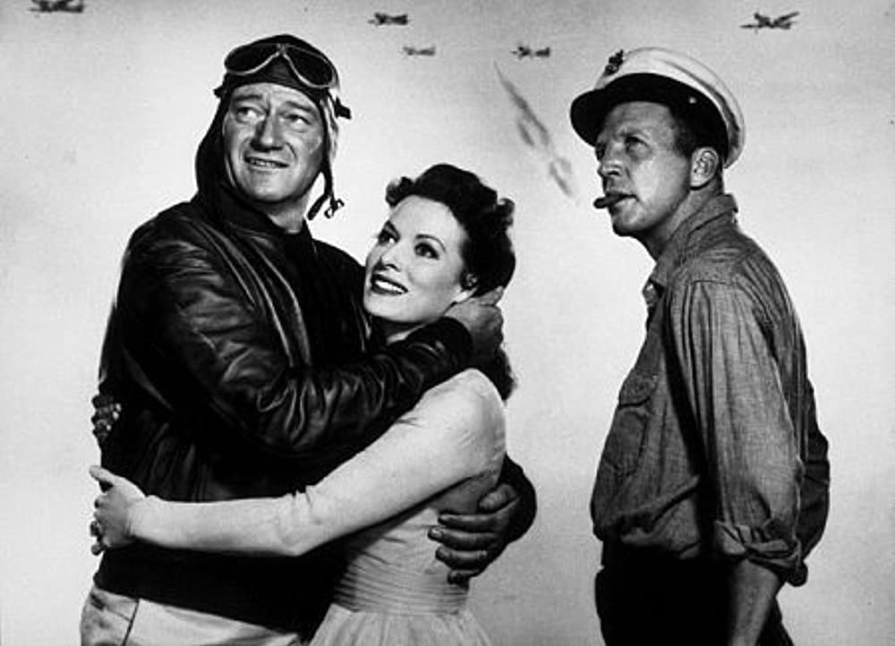 荒鷲の翼の画像