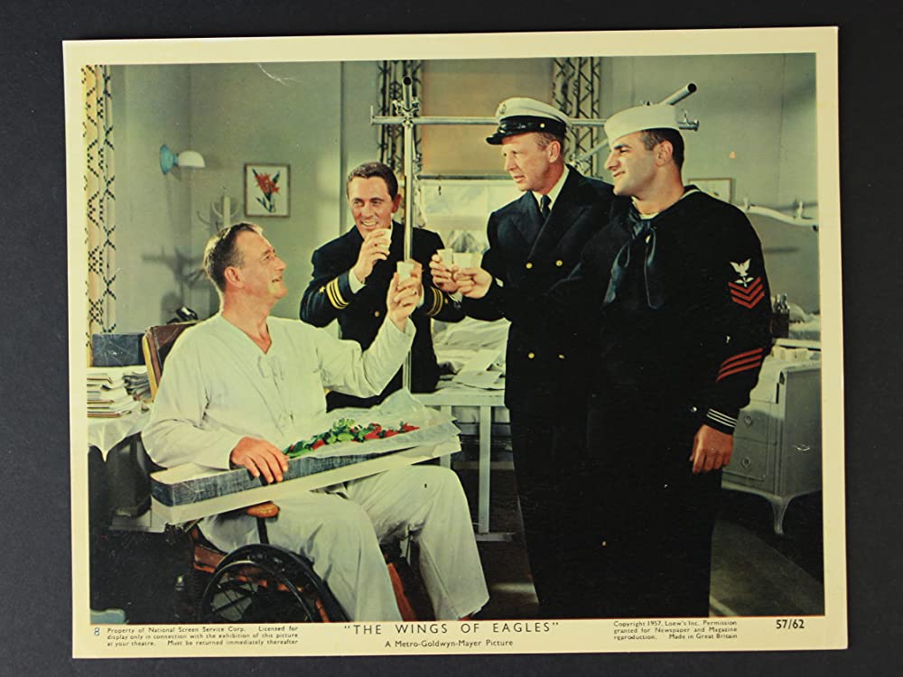 荒鷲の翼の画像