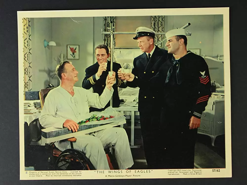 荒鷲の翼の画像