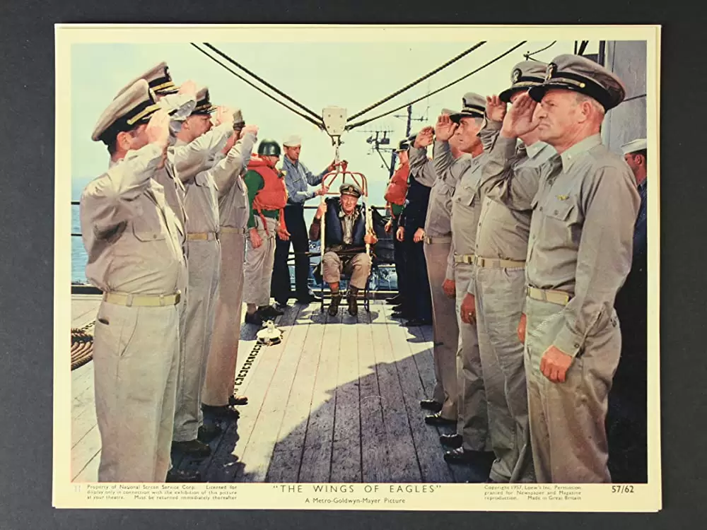 荒鷲の翼の画像