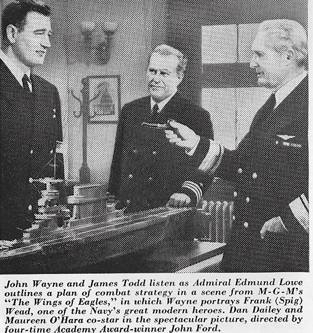 荒鷲の翼の画像