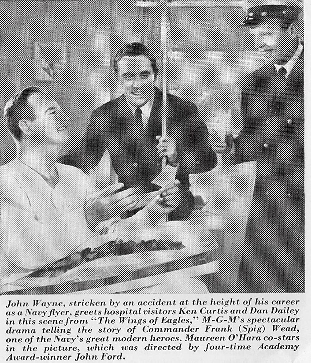 荒鷲の翼の画像