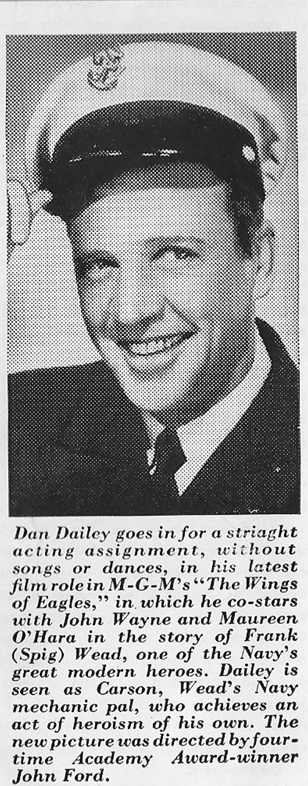 荒鷲の翼の画像