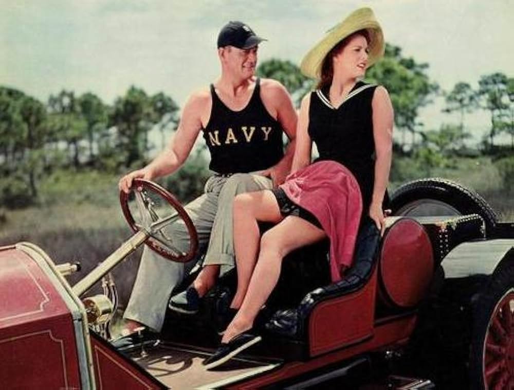 荒鷲の翼の画像