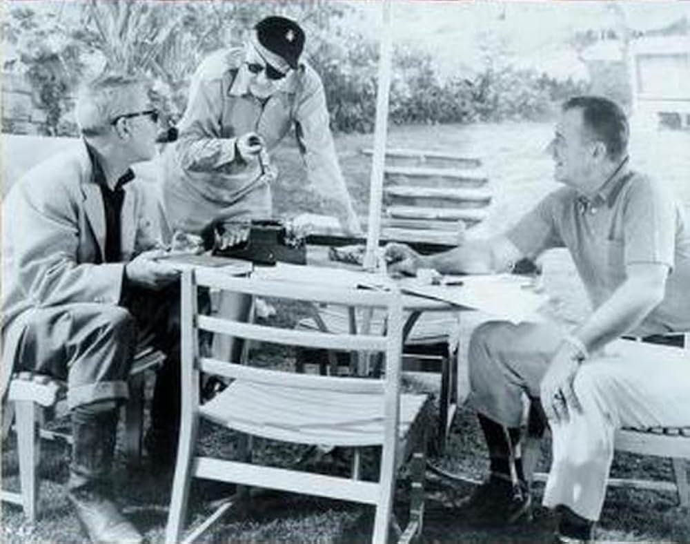 荒鷲の翼の画像