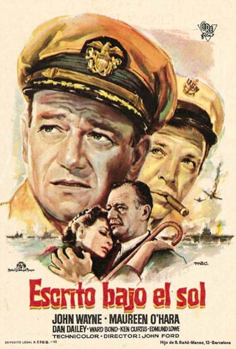 荒鷲の翼の画像