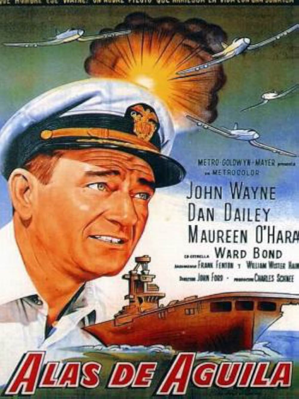 荒鷲の翼の画像