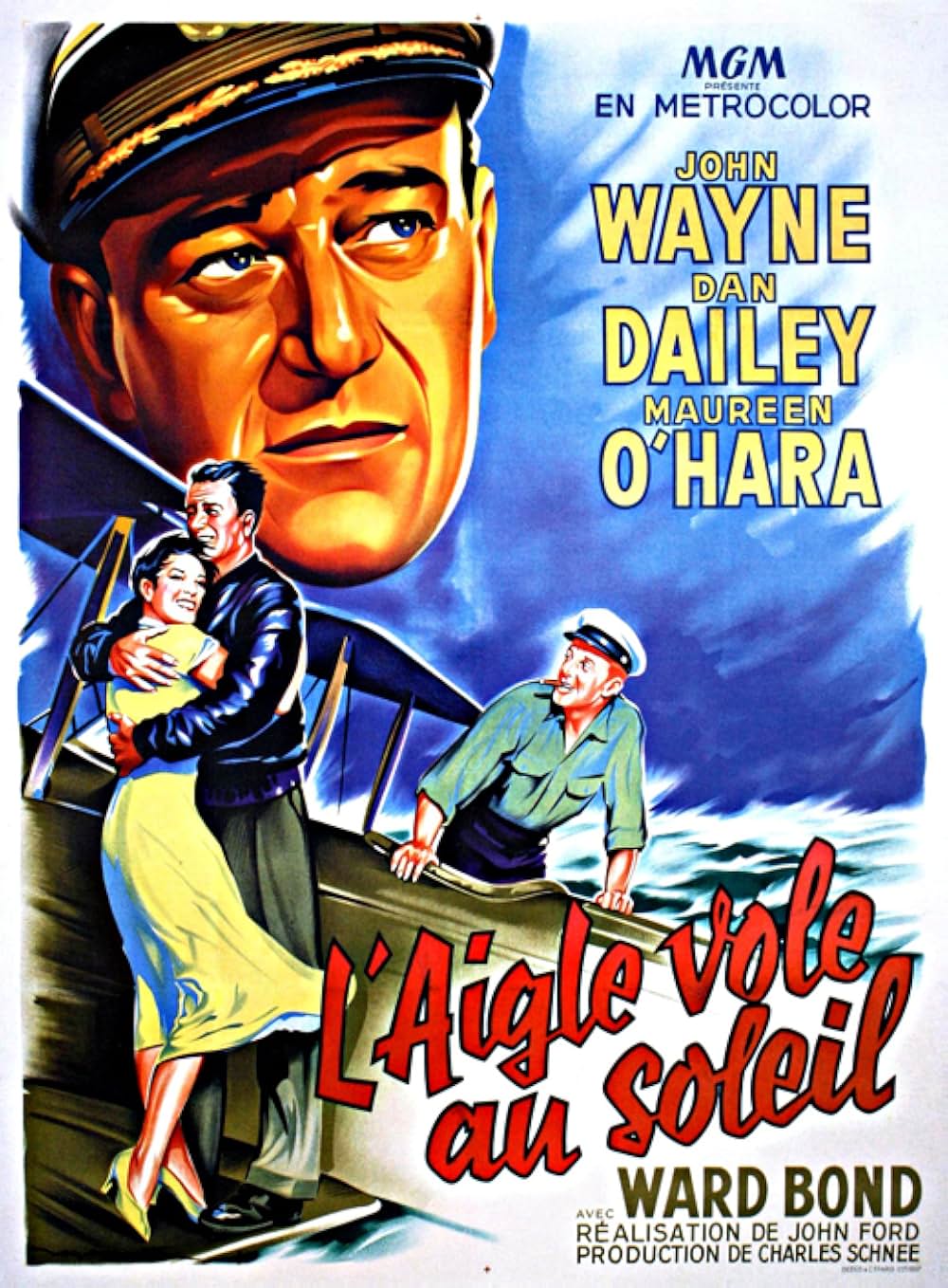 荒鷲の翼の画像