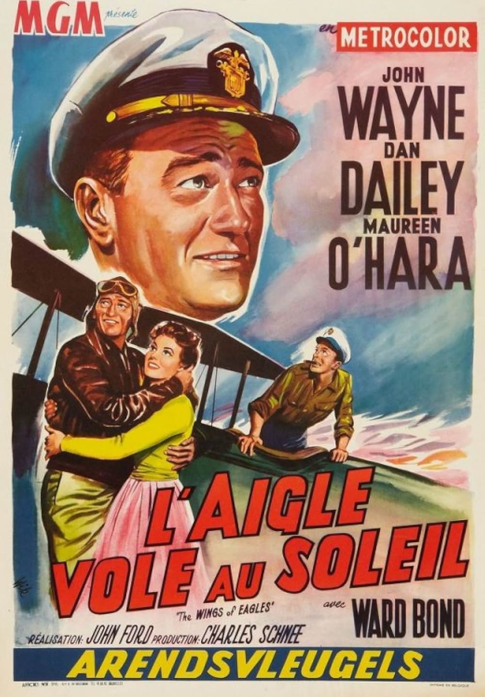 荒鷲の翼の画像