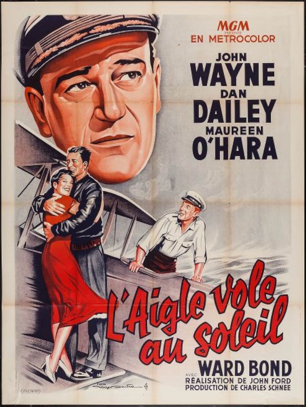 荒鷲の翼の画像