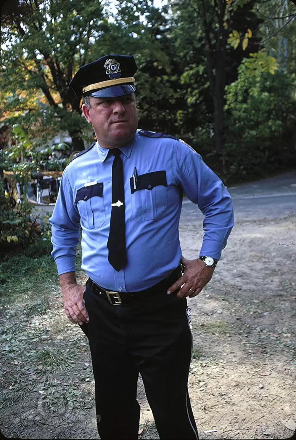 アリスのレストランの画像